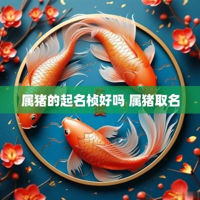属猪的起名桢好吗 属猪取名