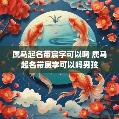 属马起名带宸字可以吗 属马起名带宸字可以吗男孩