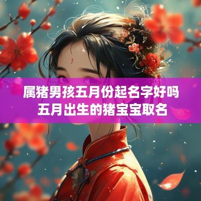 属猪男孩五月份起名字好吗 五月出生的猪宝宝取名