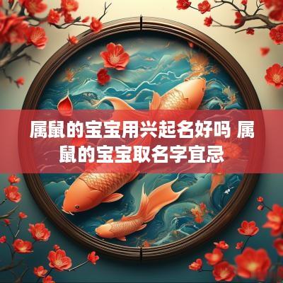 属鼠的宝宝用兴起名好吗 属鼠的宝宝取名字宜忌