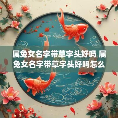 属兔女名字带草字头好吗 属兔女名字带草字头好吗怎么取