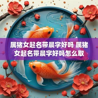 属猪女起名带晨字好吗 属猪女起名带晨字好吗怎么取