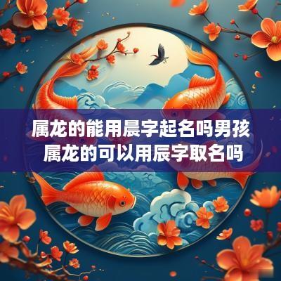 属龙的能用晨字起名吗男孩 属龙的可以用辰字取名吗