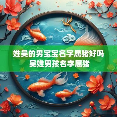 姓吴的男宝宝名字属猪好吗 吴姓男孩名字属猪