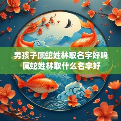 男孩子属蛇姓林取名字好吗 属蛇姓林取什么名字好