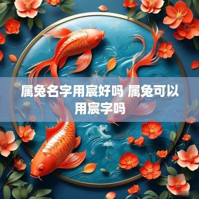 属兔名字用宸好吗 属兔可以用宸字吗
