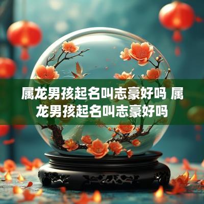 属龙男孩起名叫志豪好吗 属龙男孩起名叫志豪好吗