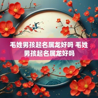 毛姓男孩起名属龙好吗 毛姓男孩起名属龙好吗