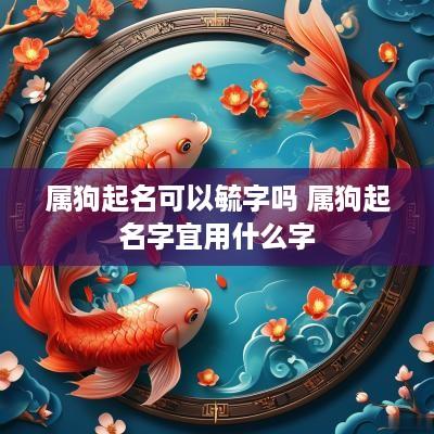 属狗起名可以毓字吗 属狗起名字宜用什么字