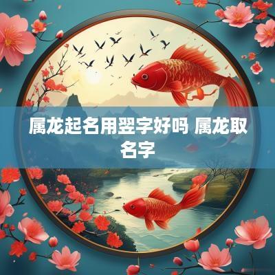 属龙起名用翌字好吗 属龙取名字