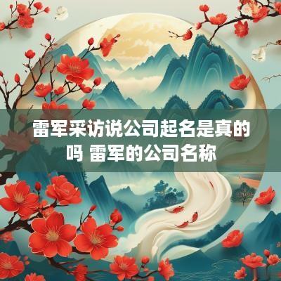 雷军采访说公司起名是真的吗 雷军的公司名称