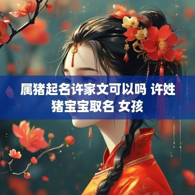 属猪起名许家文可以吗 许姓猪宝宝取名 女孩