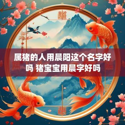 属猪的人用晨阳这个名字好吗 猪宝宝用晨字好吗