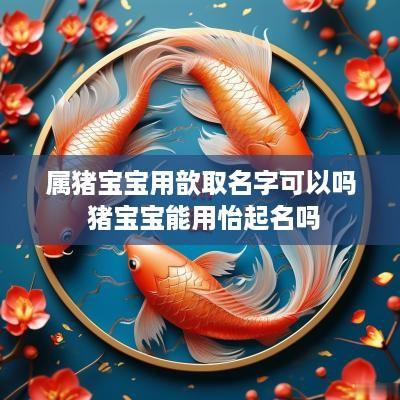 属猪宝宝用歆取名字可以吗 猪宝宝能用怡起名吗