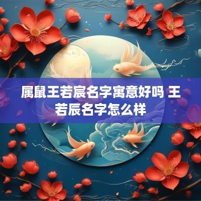 属鼠王若宸名字寓意好吗 王若辰名字怎么样