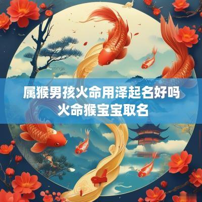属猴男孩火命用泽起名好吗 火命猴宝宝取名