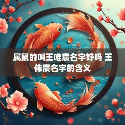 属鼠的叫王唯宸名字好吗 王伟宸名字的含义