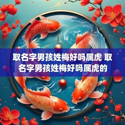 取名字男孩姓梅好吗属虎 取名字男孩姓梅好吗属虎的