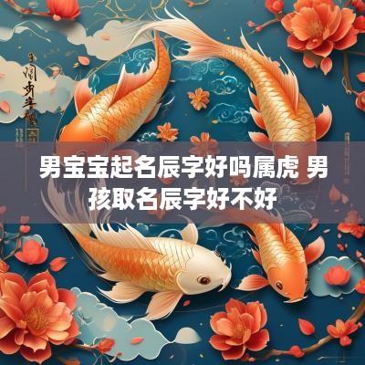 男宝宝起名辰字好吗属虎 男孩取名辰字好不好