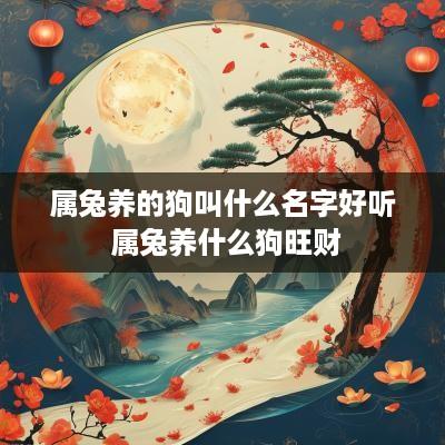 属兔养的狗叫什么名字好听 属兔养什么狗旺财