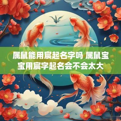 属鼠能用宸起名字吗 属鼠宝宝用宸字起名会不会太大