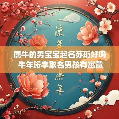 属牛的男宝宝起名苏珩好吗 蛇年珩字取名男孩有寓意