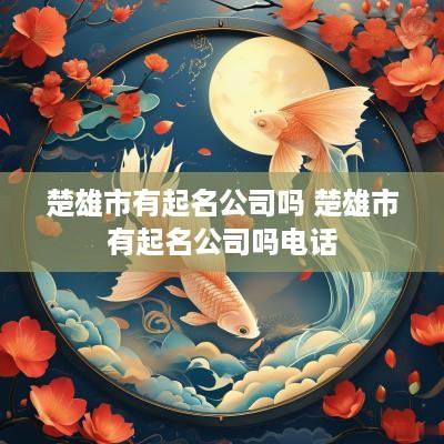 楚雄市有起名公司吗 楚雄市有起名公司吗电话