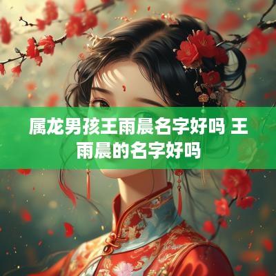 属龙男孩王雨晨名字好吗 王雨晨的名字好吗