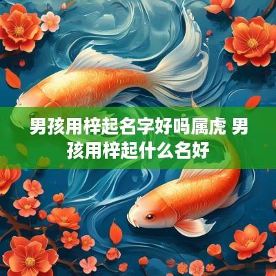 男孩用梓起名字好吗属虎 男孩用梓起什么名好