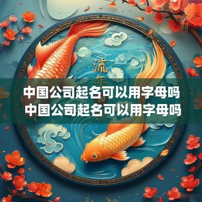 中国公司起名可以用字母吗 中国公司起名可以用字母吗