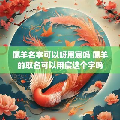 属羊名字可以呀用宸吗 属羊的取名可以用宸这个字吗