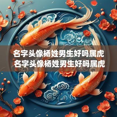 名字头像杨姓男生好吗属虎 名字头像杨姓男生好吗属虎的