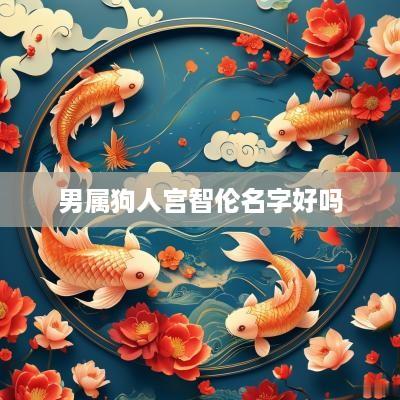 男属狗人宫智伦名字好吗