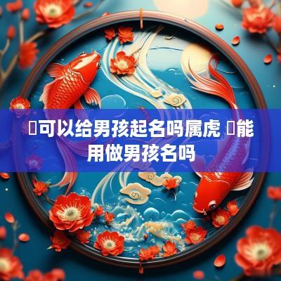 珺可以给男孩起名吗属虎 珺能用做男孩名吗