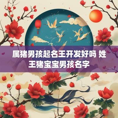 属猪男孩起名王开发好吗 姓王猪宝宝男孩名字