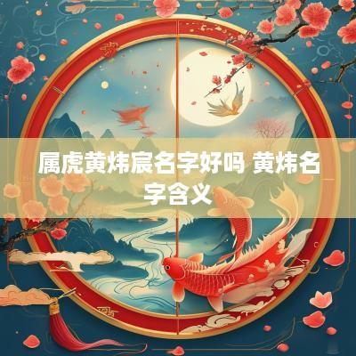 属虎黄炜宸名字好吗 黄炜名字含义
