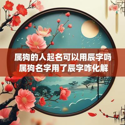 属狗的人起名可以用辰字吗 属狗名字用了辰字咋化解