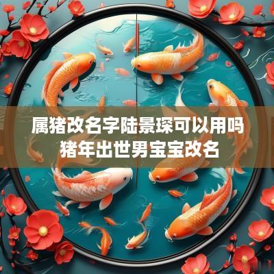 属猪改名字陆景琛可以用吗 猪年出世男宝宝改名