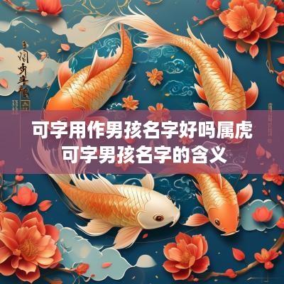 可字用作男孩名字好吗属虎 可字男孩名字的含义