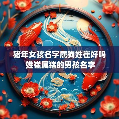 猪年女孩名字属狗姓崔好吗 姓崔属猪的男孩名字