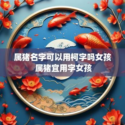 属猪名字可以用柯字吗女孩 属猪宜用字女孩
