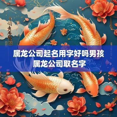 属龙公司起名用字好吗男孩 属龙公司取名字