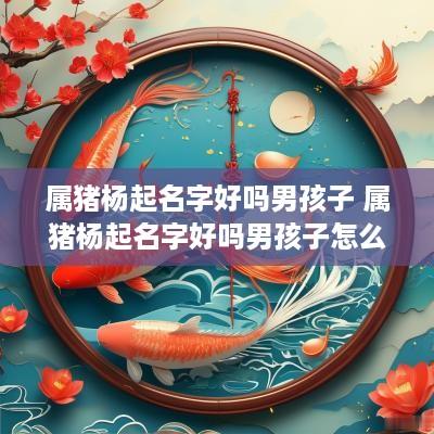 属猪杨起名字好吗男孩子 属猪杨起名字好吗男孩子怎么取