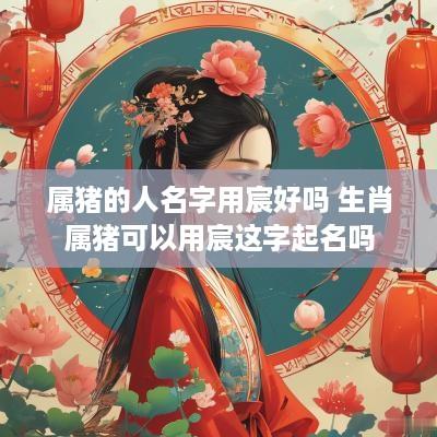 属猪的人名字用宸好吗 生肖属猪可以用宸这字起名吗