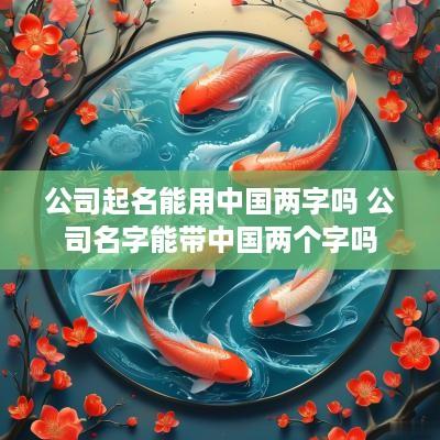 公司起名能用中国两字吗 公司名字能带中国两个字吗