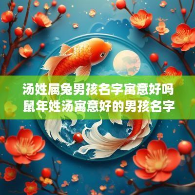 汤姓属兔男孩名字寓意好吗 蛇年姓汤寓意好的男孩名字 汤姓属兔男孩名字寓意好吗 蛇年姓汤寓意好的男孩名字