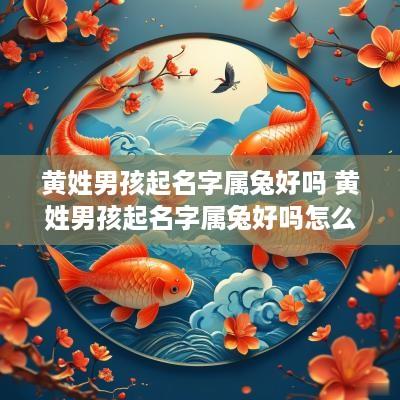 黄姓男孩起名字属兔好吗 黄姓男孩起名字属兔好吗怎么取