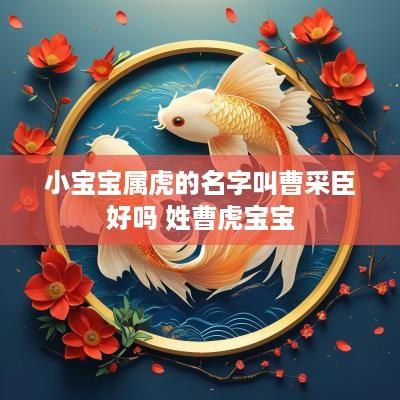小宝宝属虎的名字叫曹采臣好吗 姓曹虎宝宝