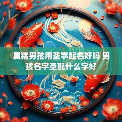 属猪男孩用圣字起名好吗 男孩名字圣配什么字好
