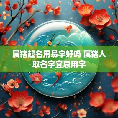 属猪起名用易字好吗 属猪人取名字宜忌用字 属猪起名用易字好吗 属猪人取名字宜忌用字